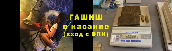 сатива Лихославль