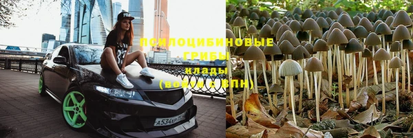 прущая мука Липки