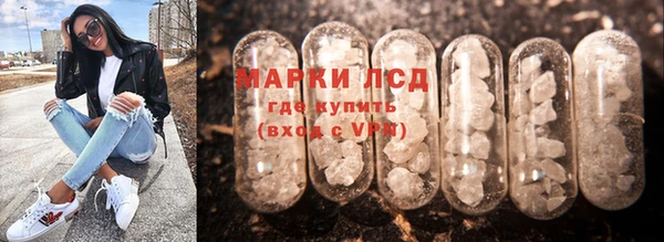 сатива Лихославль