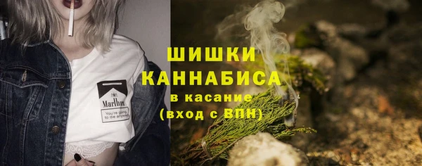 сатива Лихославль